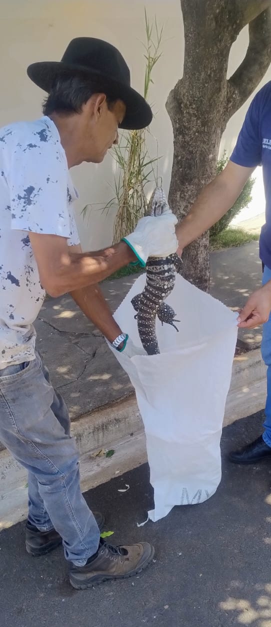Guarda Civil Municipal de Rifaina apreende e solta animal silvestre fora do perímetro urbano