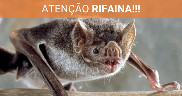 Defesa Agropecuária realiza ações de monitoramento de morcegos hematófagos na região