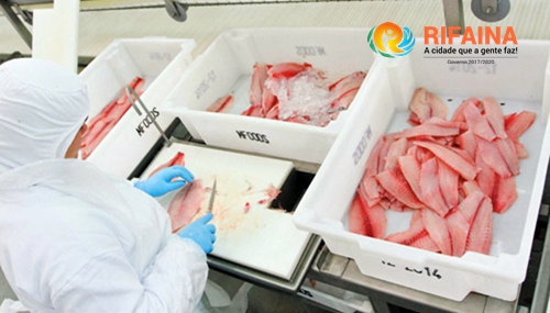 CONHEÇA A FIDER PESCADOS, PROCESSADORA DE TILÁPIAS CRIADAS NO RIO GRANDE